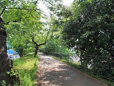 土塁上の遊歩道