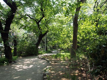 土塁上の遊歩道