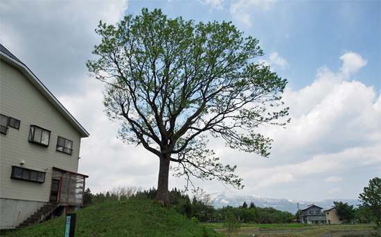 北沢一里塚