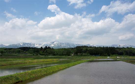 田植えの準備