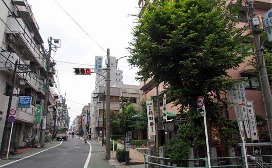 縁切り榎