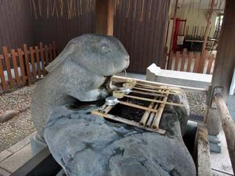 調神社の兎