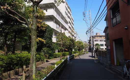 縁切り榎の迂回路