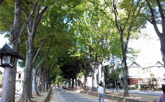 氷川神社参道