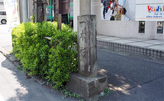 一本杉の碑
